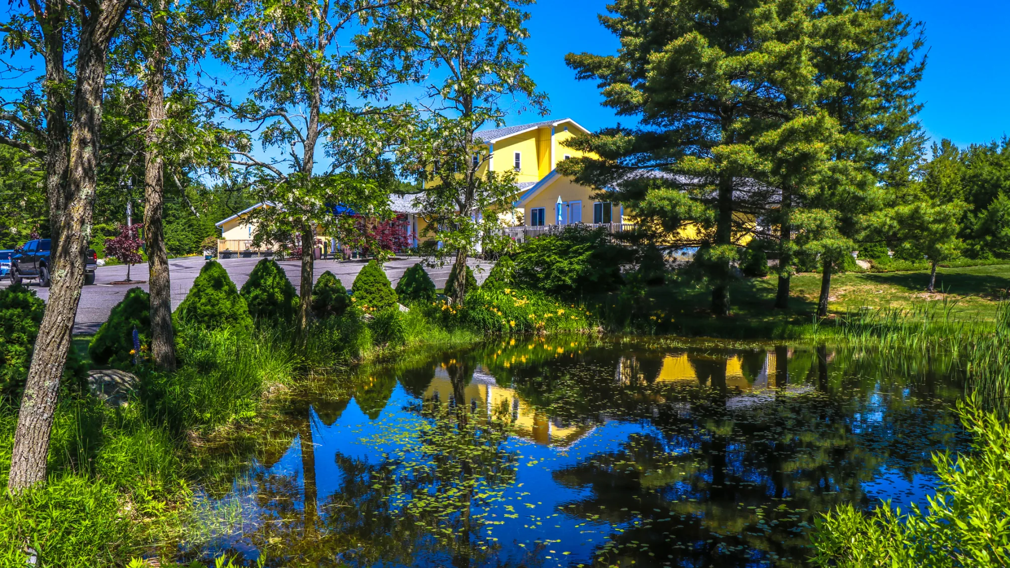Pond